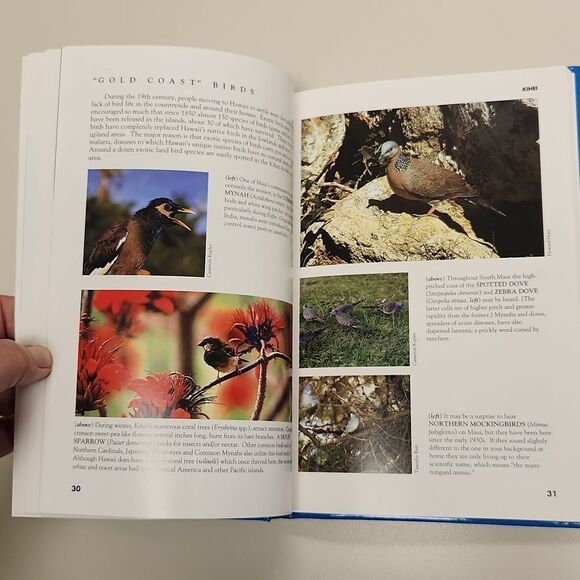 Sunny South Maui Kihei Wailea Makena Kahoolawe Book 1992 - Picture 7 of 12